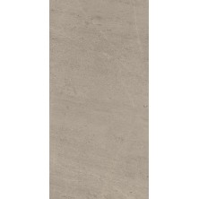 W. Silver Grey Rett 60x120/В. Сильвер Грей 60x120 Рет. (1.44 м2 / 2.00 шт.) пал.50,4 м2