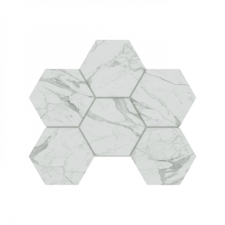 Мозаика MN01 Hexagon 25x28,5 полир.