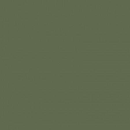 G-116/PR/600x600x10 (G-116/P) Зеленый (упак.1,44/ пал.46,08 м2)