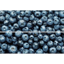 Панно 20х30 Beveled Tile Blueberry